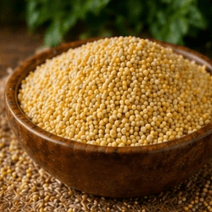 Foxtail Millet (Koni)